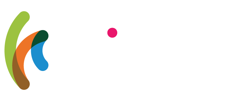 Wisoft Logo