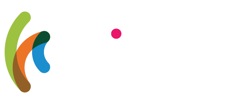 Wisoft Logo