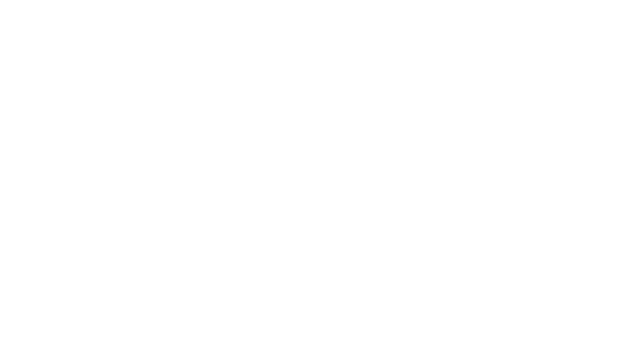 Zoom Overlay