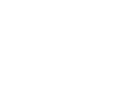 wisoft